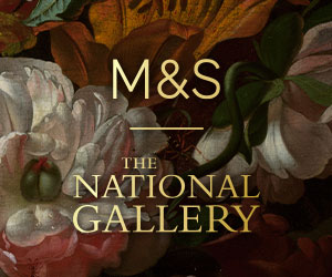 National Gallery MPU_300x250px_NG-M&S_Logo