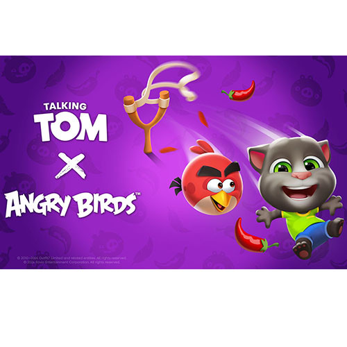 TalkingTomAngryBirds500x500